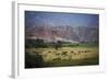 Landscape in Valles Calchaquies on the Road Between Cafayate and Cachi-Yadid Levy-Framed Photographic Print