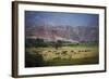 Landscape in Valles Calchaquies on the Road Between Cafayate and Cachi-Yadid Levy-Framed Photographic Print