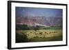 Landscape in Valles Calchaquies on the Road Between Cafayate and Cachi-Yadid Levy-Framed Photographic Print