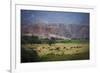Landscape in Valles Calchaquies on the Road Between Cafayate and Cachi-Yadid Levy-Framed Photographic Print
