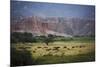 Landscape in Valles Calchaquies on the Road Between Cafayate and Cachi-Yadid Levy-Mounted Photographic Print
