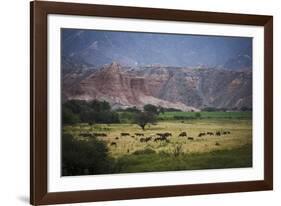 Landscape in Valles Calchaquies on the Road Between Cafayate and Cachi-Yadid Levy-Framed Photographic Print