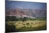 Landscape in Valles Calchaquies on the Road Between Cafayate and Cachi-Yadid Levy-Mounted Photographic Print