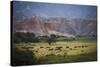 Landscape in Valles Calchaquies on the Road Between Cafayate and Cachi-Yadid Levy-Stretched Canvas