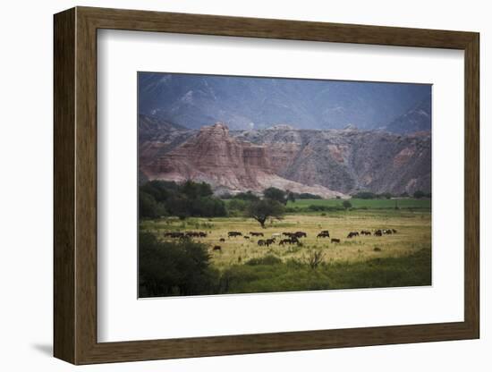 Landscape in Valles Calchaquies on the Road Between Cafayate and Cachi-Yadid Levy-Framed Photographic Print