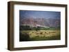 Landscape in Valles Calchaquies on the Road Between Cafayate and Cachi-Yadid Levy-Framed Photographic Print