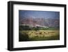 Landscape in Valles Calchaquies on the Road Between Cafayate and Cachi-Yadid Levy-Framed Photographic Print