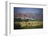 Landscape in Valles Calchaquies on the Road Between Cafayate and Cachi-Yadid Levy-Framed Photographic Print