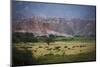 Landscape in Valles Calchaquies on the Road Between Cafayate and Cachi-Yadid Levy-Mounted Photographic Print