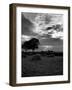 Landscape in Wales-Carl Mydans-Framed Photographic Print