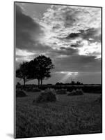 Landscape in Wales-Carl Mydans-Mounted Photographic Print