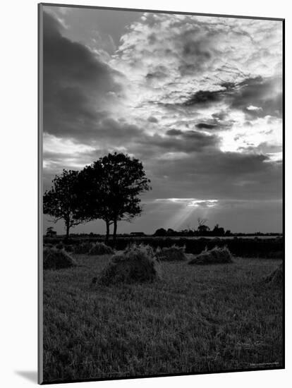 Landscape in Wales-Carl Mydans-Mounted Photographic Print