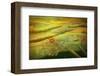 Landscape in yellow joy-Claire Westwood-Framed Art Print