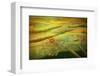 Landscape in yellow joy-Claire Westwood-Framed Art Print