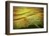 Landscape in yellow joy-Claire Westwood-Framed Art Print