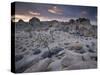 Landscape, Joshua Tree National Park, California, United States of America, North America-Colin Brynn-Stretched Canvas