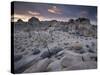 Landscape, Joshua Tree National Park, California, United States of America, North America-Colin Brynn-Stretched Canvas