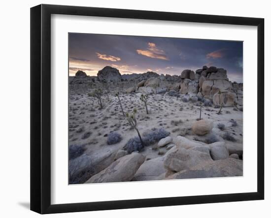 Landscape, Joshua Tree National Park, California, United States of America, North America-Colin Brynn-Framed Photographic Print