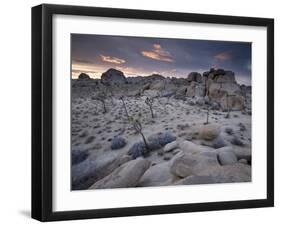 Landscape, Joshua Tree National Park, California, United States of America, North America-Colin Brynn-Framed Photographic Print