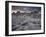 Landscape, Joshua Tree National Park, California, United States of America, North America-Colin Brynn-Framed Photographic Print