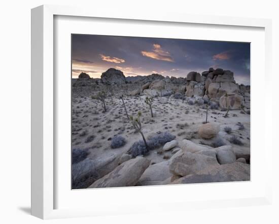 Landscape, Joshua Tree National Park, California, United States of America, North America-Colin Brynn-Framed Photographic Print