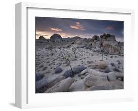 Landscape, Joshua Tree National Park, California, United States of America, North America-Colin Brynn-Framed Photographic Print