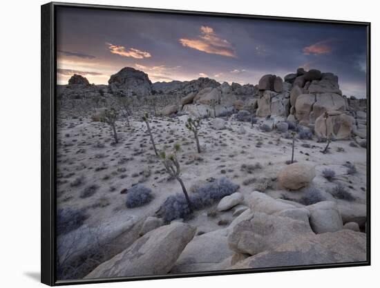 Landscape, Joshua Tree National Park, California, United States of America, North America-Colin Brynn-Framed Photographic Print