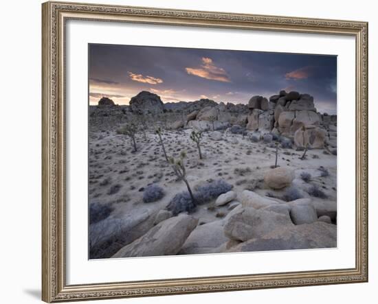 Landscape, Joshua Tree National Park, California, United States of America, North America-Colin Brynn-Framed Photographic Print