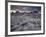 Landscape, Joshua Tree National Park, California, United States of America, North America-Colin Brynn-Framed Photographic Print