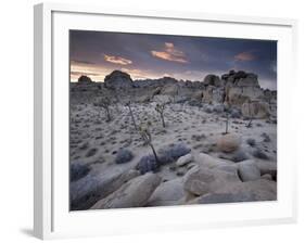 Landscape, Joshua Tree National Park, California, United States of America, North America-Colin Brynn-Framed Photographic Print