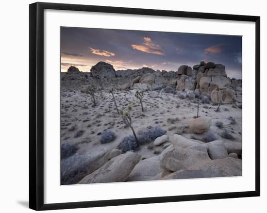 Landscape, Joshua Tree National Park, California, United States of America, North America-Colin Brynn-Framed Photographic Print