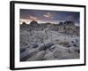 Landscape, Joshua Tree National Park, California, United States of America, North America-Colin Brynn-Framed Photographic Print