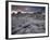 Landscape, Joshua Tree National Park, California, United States of America, North America-Colin Brynn-Framed Photographic Print