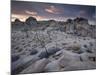 Landscape, Joshua Tree National Park, California, United States of America, North America-Colin Brynn-Mounted Photographic Print