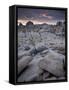 Landscape, Joshua Tree National Park, California, United States of America, North America-Colin Brynn-Framed Stretched Canvas