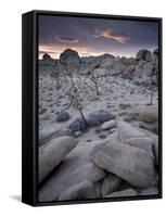 Landscape, Joshua Tree National Park, California, United States of America, North America-Colin Brynn-Framed Stretched Canvas