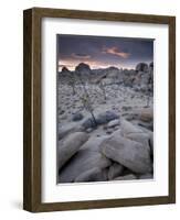 Landscape, Joshua Tree National Park, California, United States of America, North America-Colin Brynn-Framed Photographic Print