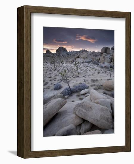 Landscape, Joshua Tree National Park, California, United States of America, North America-Colin Brynn-Framed Photographic Print