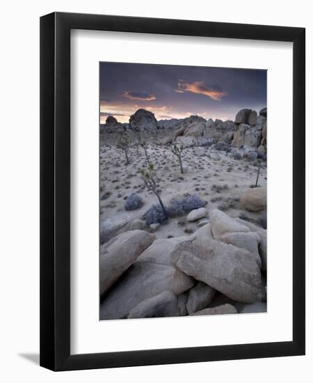 Landscape, Joshua Tree National Park, California, United States of America, North America-Colin Brynn-Framed Photographic Print