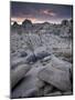 Landscape, Joshua Tree National Park, California, United States of America, North America-Colin Brynn-Mounted Photographic Print