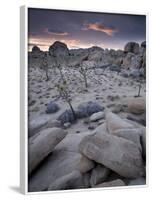 Landscape, Joshua Tree National Park, California, United States of America, North America-Colin Brynn-Framed Photographic Print