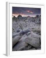 Landscape, Joshua Tree National Park, California, United States of America, North America-Colin Brynn-Framed Photographic Print