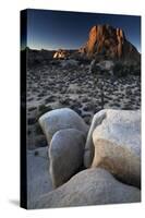 Landscape, Joshua Tree National Park, California, United States of America, North America-Colin Brynn-Stretched Canvas