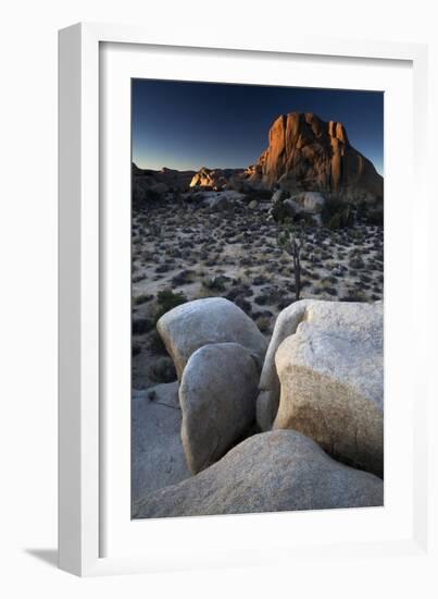 Landscape, Joshua Tree National Park, California, United States of America, North America-Colin Brynn-Framed Photographic Print