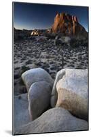 Landscape, Joshua Tree National Park, California, United States of America, North America-Colin Brynn-Mounted Photographic Print