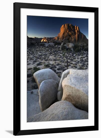 Landscape, Joshua Tree National Park, California, United States of America, North America-Colin Brynn-Framed Photographic Print