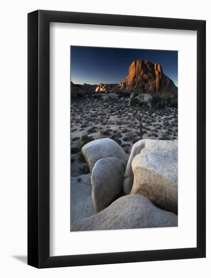 Landscape, Joshua Tree National Park, California, United States of America, North America-Colin Brynn-Framed Premium Photographic Print