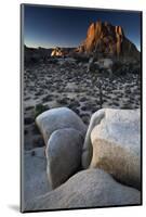 Landscape, Joshua Tree National Park, California, United States of America, North America-Colin Brynn-Mounted Photographic Print