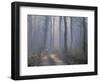 Landscape, Kanha National Park, India-Art Wolfe-Framed Photographic Print