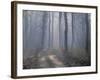 Landscape, Kanha National Park, India-Art Wolfe-Framed Photographic Print